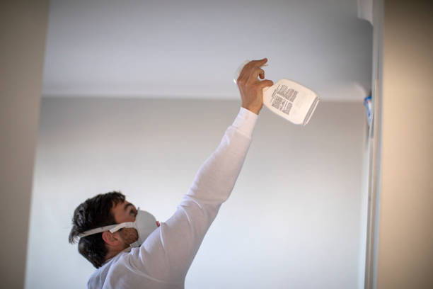 Best Mold Remediation for Schools in Wellington, KS
