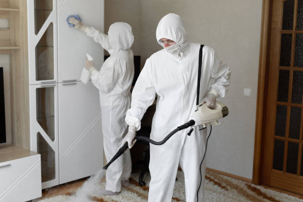 Professional Mold Remediation in Wellington, KS